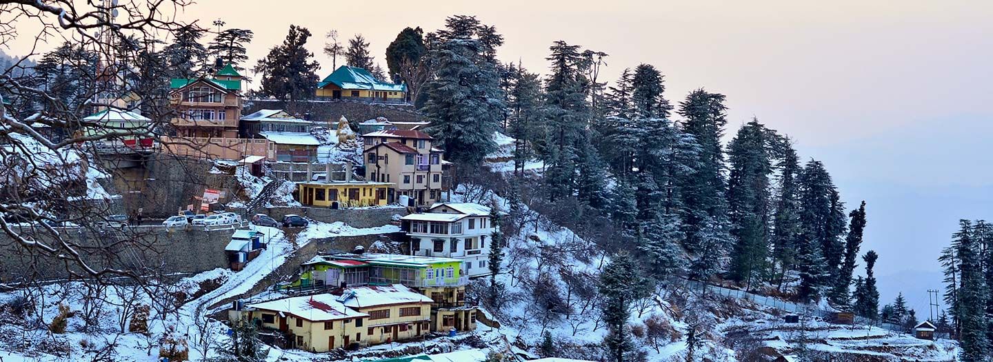 Auli 